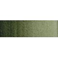 Old Holland Watercolour - Green Umber (half Pan): 