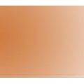 Talens Rembrandt Watercolour - Yellow Ochre (Half Pan): 