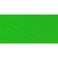 Gamblin Artist Oil Paint - Permanent Green Light (37ml): 