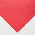 Clairefontaine Ingres Pastel Paper Sheet (Laid Texture)(50x65cm)(Red): 