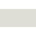 Copic Ciao Twin-Tipped Marker (Warm Grey No.2 W2): 
