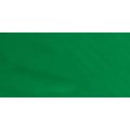 R&F Pigment Stick Oil Paint Bar (100ml)(Veronese Green IV)(2649): 