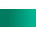 ShinHan Oil Paint (50ml)(Emerald Green): 
