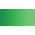 ShinHan Special Watercolour Paint (15ml)(Permanent Green No.2)(267): 