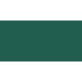 ShinHan Touch Twin Marker Refill (20ml)(Dark Green)(BG51): 