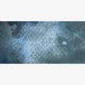Holbein Artists' Granulating Watercolour Paint - Shoebill Blue Grey (15 ml): 