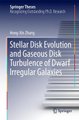 Stellar Disk Evolution and Gaseous Disk Turbulence of Dwarf Irregular Galaxies (Hardcover, 1st ed. 2016): Hong-Xin Zhang