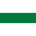 Vallejo - Premium Airbrush Paint - 200ml - Basic Green: 