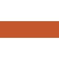 Talens Van Gogh Oil Colour - Raw Sienna S1 (200ml): 
