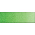 Old Holland Watercolour - Cadmium Green Light (6ml): 