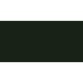 Derwent Procolour Colour Pencil (Cedar Green 48): 