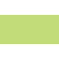 Derwent Procolour Colour Pencil (Light Moss 45): 