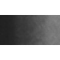 Old Holland Watercolour Paint (18ml)(Vine Black): 