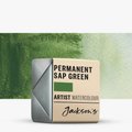 Jackson's Artist Watercolour Paint - Permanent Sap Green (Half Pan): 