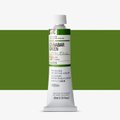 Holbein Artists' Extra Fine Oil Paint - Cinnabar Green (40 ml): 