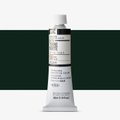 Holbein Artists' Extra Fine Oil Paint - Terre Verte (40 ml): 