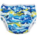 Chenshia Reusable Baby Swimming Cloth Nappy for Little Swimmers Diaper: 