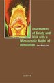 Assessment of Safety and Risk with a Microscopic Model of Detonation (Hardcover): C.O. Leiber