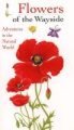 Flowers on the Way-side (Spiral bound): 