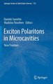 Exciton Polaritons in Microcavities - New Frontiers (Hardcover, 2012): Daniele Sanvitto, Vladislav Timofeev