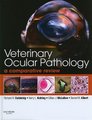 Veterinary Ocular Pathology - A Comparative Review (Hardcover): Richard R. Dubielzig, Kerry L. Ketring, Gillian J McLellan,...