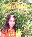 Photosynthesis - Changing Sunlight to Food (Paperback, New ed): Bobbie Kalman