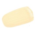 Golden Acrylic Bottle Fluid - Titan Buff (119ml): 