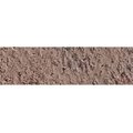Caran D Ache Pastel Pencil - Dark Flesh 50 Percent: 
