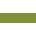Derwent Watercolour Pencil - Olive Green: 