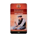 Koh-I-Noor Mondeluz Aquarell Colour Pencils (Set of 12): 