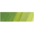 Schmincke Mussini Oil - Chrome Green Light Tone (35ml): 