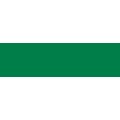 Talens Van Gogh Oil Colour - Permanent Green Deep S2 (40ml): 