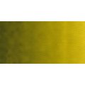 Old Holland Watercolour Paint (18ml)(Old Holland Golden Green Deep): 