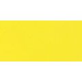 Williamsburg Oil Paint (150ml)(Cadmium Lemon): 