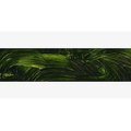 Gamblin 1980 Oil Paint - Sap Green (150ml): 