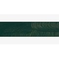 Gamblin 1980 Oil Paint - Viridian (37ml): 