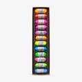 Diane Townsend Artists' Soft-Form Pastels - Flourescent (Set of 12): 
