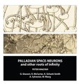 Palladian Space-Neurons and other Roots of Infinity (Hardcover): Peter Magyar