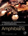 Hormones and Reproduction of Vertebrates, Volume 2 - Amphibians (Hardcover, 2nd edition): David O. Norris, Kristin H. Lopez