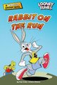 Rabbit On The Run (Paperback): Ivan Cohen
