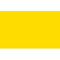 Talens Cobra Artist Water Mixable Oil Colour - Primary Yellow (40ml): 
