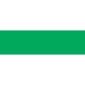 Talens Van Gogh Oil Colour - Permanent Green Med. S1 (200ml): 