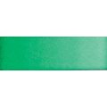 Old Holland Watercolour - Emerald Green (half Pan): 