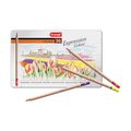Bruynzeel The National Gallery Colour Pencil Set (36 Coloured Pencils): 