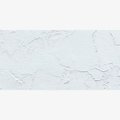 Gamblin Artist Oil Paint - 237ml (8oz) - Cool White: 