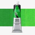 Holbein Heavy Body Acrylic Paint - Middle Green (60 ml): 