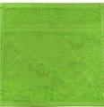 Bunty Plush Face Cloth (Jasmine Green)(450GSM)(30x30cm): 