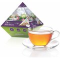 Remedy Health Detox Tea: 