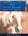 THE Silver Brumby (Audio cassette, Abridged Ed): Elynne Mitchell