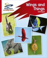Reading Planet: Rocket Phonics - Target Practice - Wings and Things - Red B (Paperback): Abigail Steel